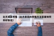 北方茶花养殖（北方茶花的养殖方法家里如何养好茶花）