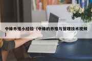 中蜂养殖小经验（中蜂的养殖与管理技术视频）