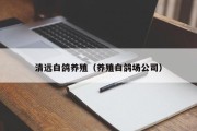 清远白鸽养殖(养殖白鸽场公司) 清远白鸽养殖(养殖白鸽场公司)
